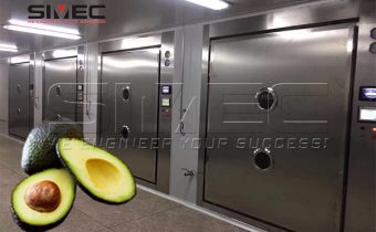 avocado-vacuum-dehydration