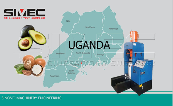 Avocado-Shea-Oil-Project-in-Uganda